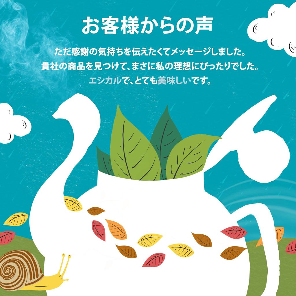 Clipper Tea Earl Grey 20 Tea Bags, Fairtrade, British, Natural, Premium Tea, Individually Wrapped