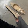 Inner Height Increase Pointed Rivets Single Shoes Women's Shoes Spring and Autumn 2025 New Summer French Temperament Grandma Shoes Ladyshoes