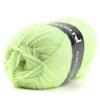 Laine Plassard Gagnante 934 Baby Green