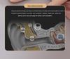 Bone Conduction Wireless Bluetooth Sleep Speaker for Relaxing White Noise