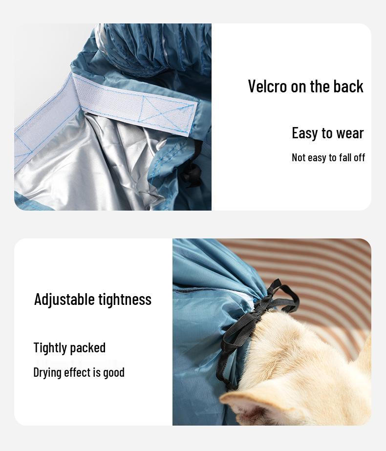 Teddy Corgi Pet Hair Dryer Box - Automatic Silent Drying Bag for Cats & Dogs