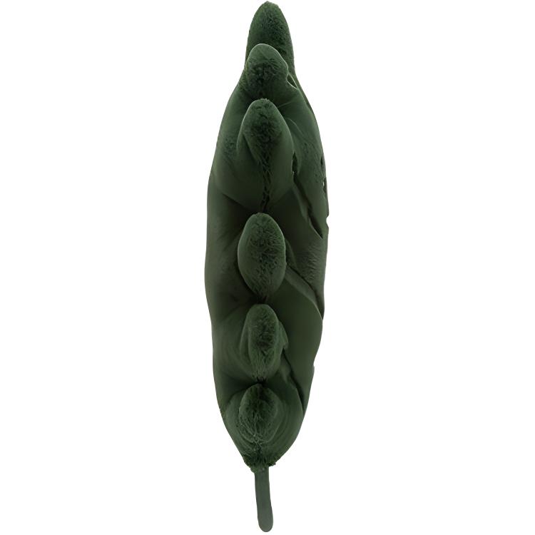 JELLYCAT Plant Series Forestland Oak Leaf Dolls Plush Doll 49cm Height