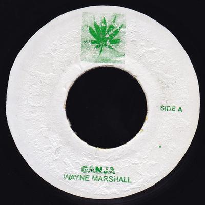 7inch Record WAYNE MARSHALL  MACHEL MONTANO  Ganja  Powder Puff Remix NONE Hemp Muzik 2004 Jamaica Reggae Ska  Dub Used
