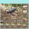 Realistic Spider And Beetle Plastic Insect Figures For Childrens Learning And Play