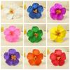 Vacation Style Headwear Flower Hairpin Cloth Bohemian Style Hair Clip Cute Flower Hair Clip  Girl