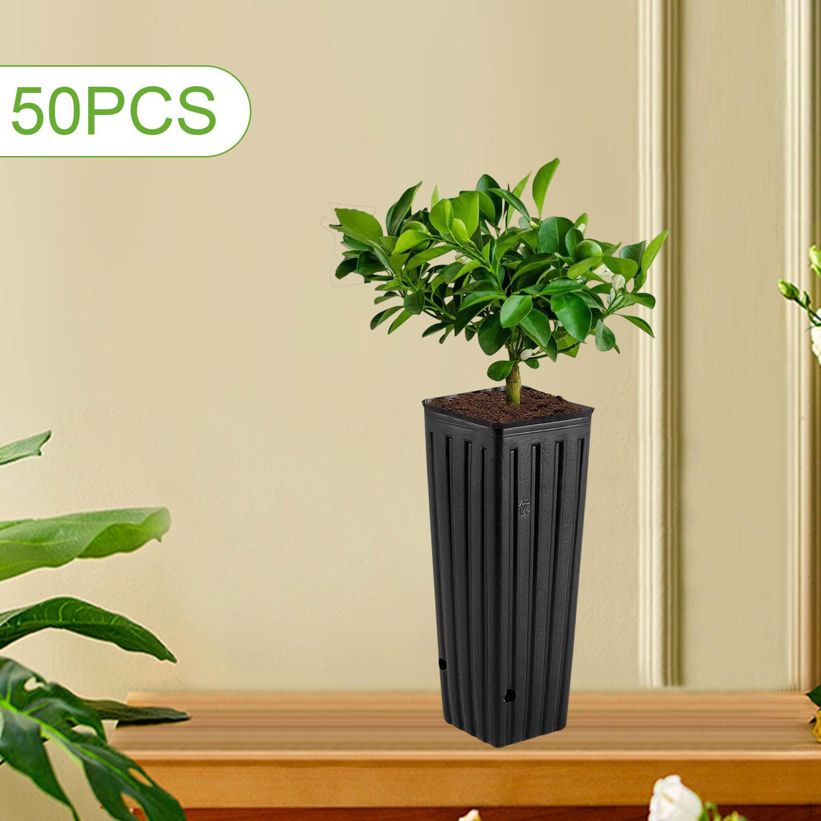 

50 штук Садовые растения Рассадочные горшки Питомник Посадочный горшок Для выращивания Посадочные стаканчики Удобные Прочные Глубокие L