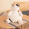 Lindo gato perezoso animal relleno juguete kawaii dibujos animados gato de peluche de juguete niños muñeca de peluche niña almohada para dormir regalo de Navidad y San Valentín