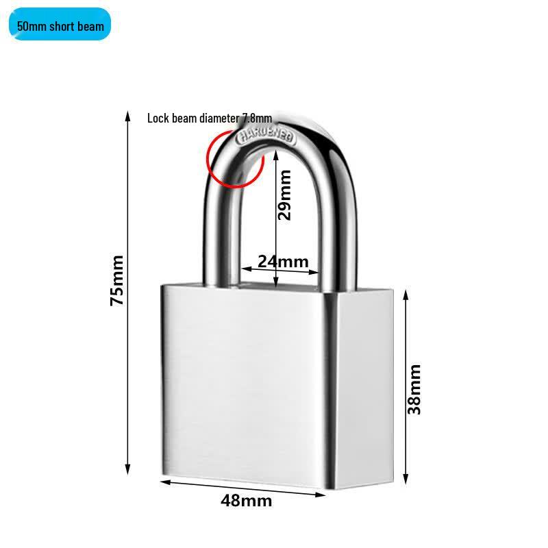 Longdai Imitation Stainless Steel Padlock