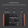 Tianying Shijie M500 2.0 Active Hi-Fi Bookshelf Speaker CN plug (adapter included)