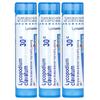 Lycopodium, Abdominal Bloating and Gas Relief, Dissolvable Pellets, 30C, 3 Tubes, 80 Pellets per Tube