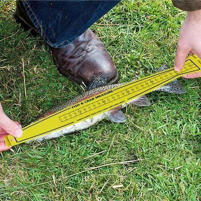 Balıkçılık – Balıkçılık için diğer aksesuarlar