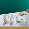 Heat-Resistant Borosilicate Glass Water Kettle Set for Tea and Cold Beverages