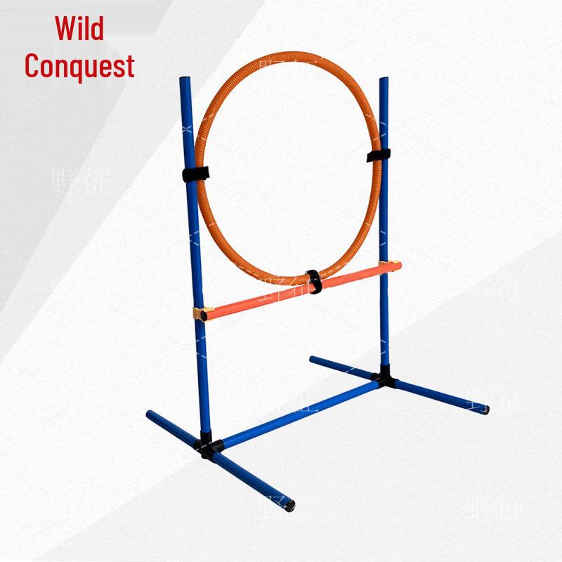 Dog Agility Training Equipment