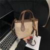 Niche High-end Small Bag Women's New Trendy and Versatile Shoulder Messenger Bag Fashionable Portable Bucket Bag