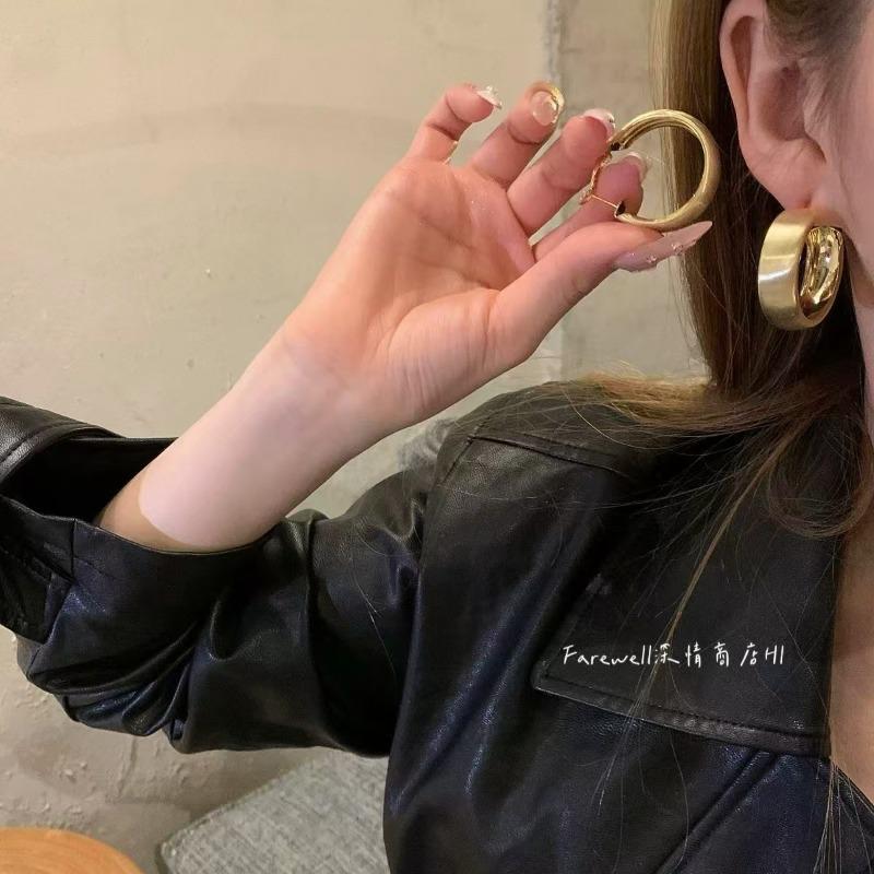 Silver Needle Autumn and Winter Metal Earrings Earrings Niche Fashion Cold Wind Earrings Versatile Light Luxury Premium Earrings