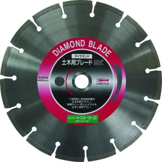 

EBI Diamond Cutter for Concrete 10 inch 22mm CX1022