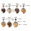 European American Fashion Creative Design Natural Conch fossil Pendant Semi-precious Stone Inlay Herringbone Pattern Accessory