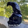 Skull Courtyard Home Decoration Crow Skull Resin Handicraft Ornament Atmosphere Decoration Sculpture
