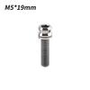 1/2Pcs Titanium Bolt M5X17Mm M5X19Mm Bicycle Nut Titanium Alloy Stem Bolts Road Folding Bike Screw Accessories