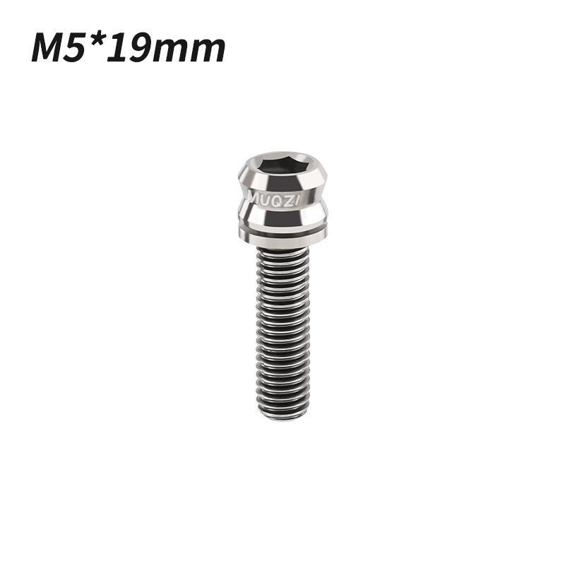 1/2Pcs Titanium Bolt M5X17Mm M5X19Mm Bicycle Nut Titanium Alloy Stem Bolts Road Folding Bike Screw Accessories