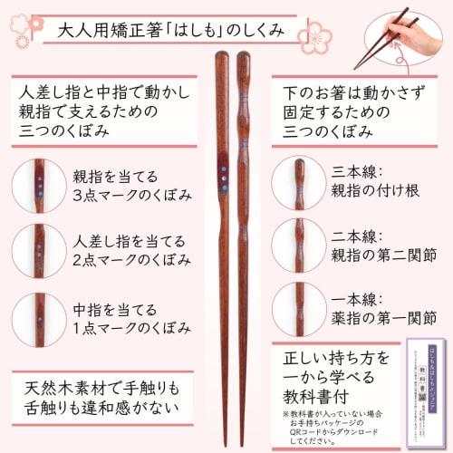 FlaColle Hashimo [Serious Corrective Chopsticks That Never Give Up] Adult Corrective Chopsticks [Learn Beautiful Grip Through Feeling] Chopsticks for