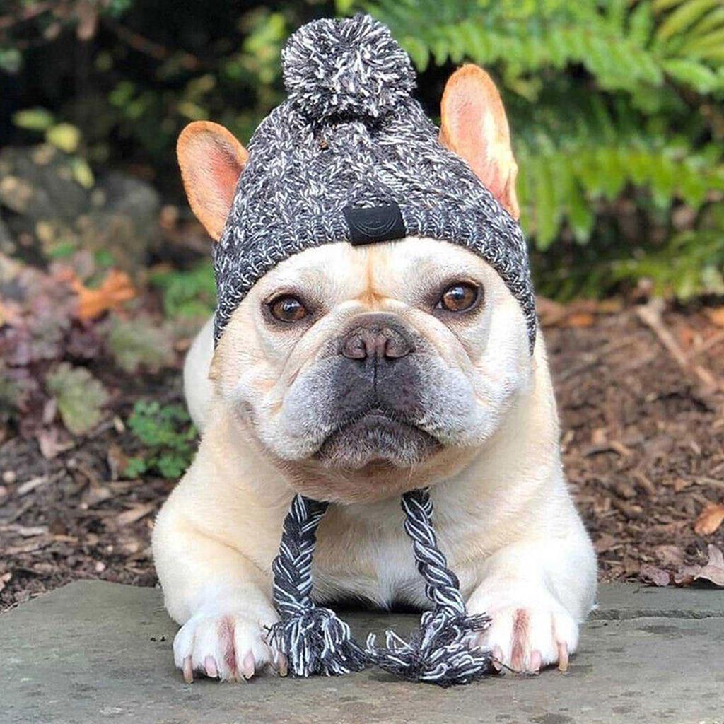 1PCS Winter Pet Dogs Hat Windproof And Warm Pet Hat French Bulldog