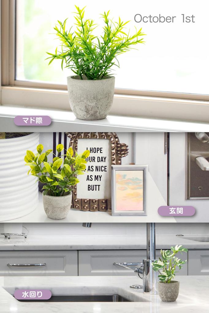 October1st Faux Greenery, Artificial Houseplants, 3-Piece Set, Tabletop, Photocatalytic Treatment, Artificial Flowers, Interior Decor, Mini Indoor