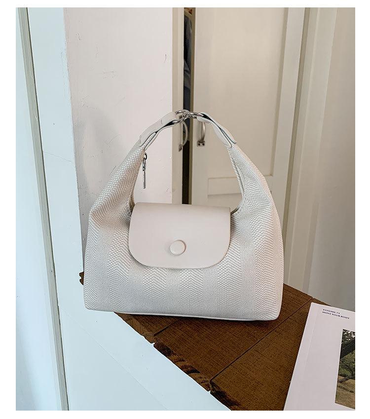 Casual niche design dumpling bag women's bag 2025 new Korean version hand carry cloud bag super fire versatile messenger bag