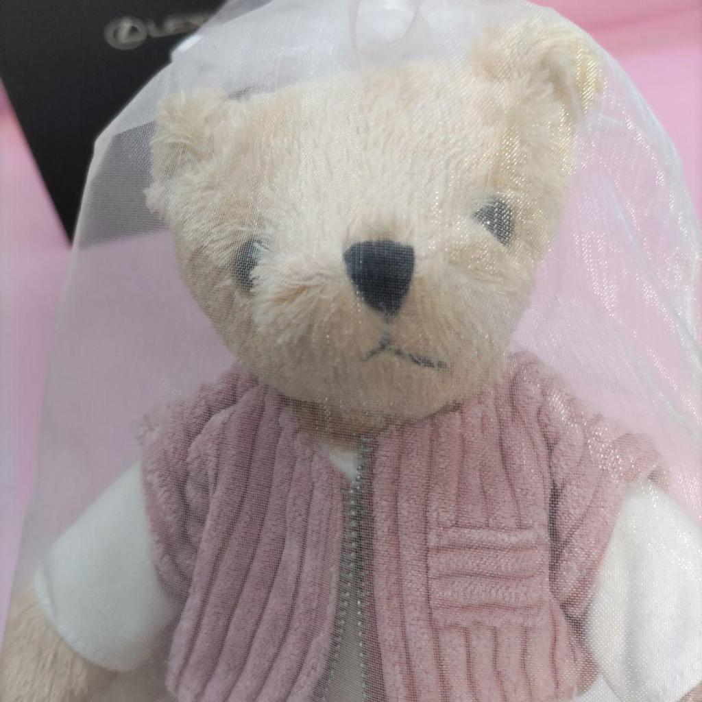 [GEBRAUCHT] Ausgezeichneter Zustand Lexus Teddybär Plüschtier