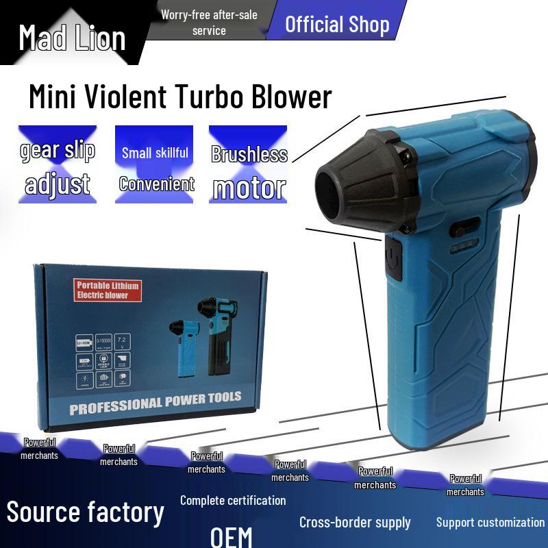 Compact Brushless Lithium Hair Dryer with High-Power Turbine Fan