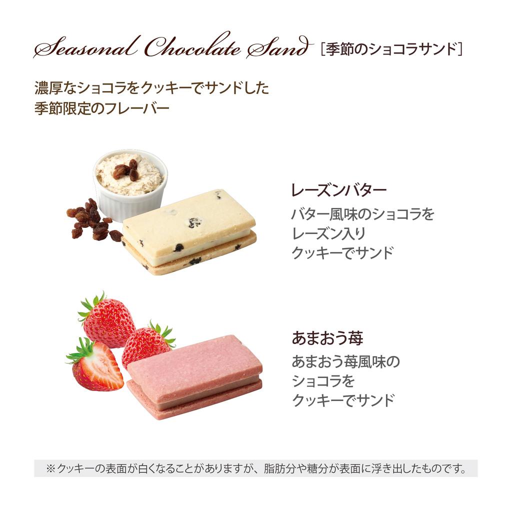 Maison Chocolat Sandwich 24 pieces Chocolate Sweets Individually wrapped Midyear gift Present [La Shirokane]
