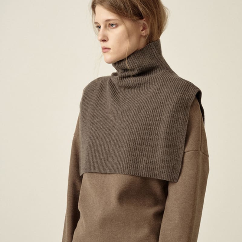 

YURT Кэшмировый гольф-манишка [YA304]_3 цвета MOCHA