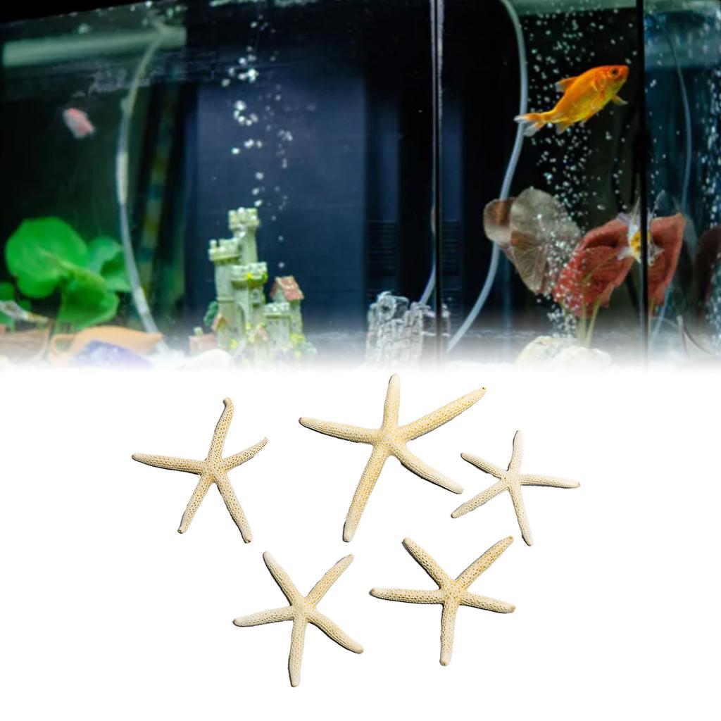 Fish Tank Starfish Decor Unique Beautiful Starfish Ornament Set for Home Aquarium DIY Photo Frame