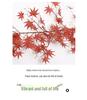 Artificial Maple Leaf Vine with Faux Chicken Claw & Flower Decorations for Water Pipe Wrapping