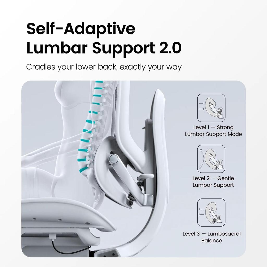 SIHOO Doro C300 Pro V2 Ergonomic Office Chair (without Footrest), Adaptive Full-body Support, 8D Armrests, and Breathable Mesh