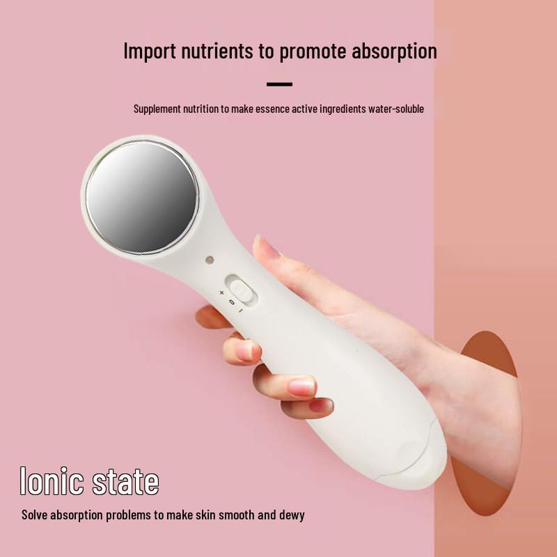Handheld Portable Facial Massage & Skin Cleansing Beauty Instrument