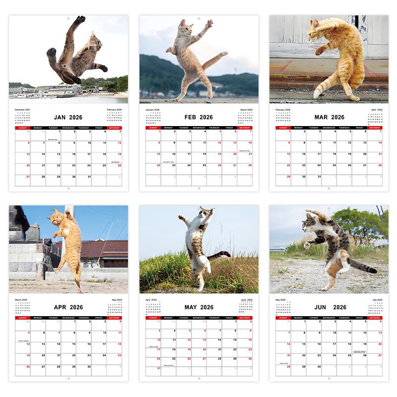 2026 Kung Fu Katze Kalender Neujahr Wandkalender Lustige Geschenke mit Katzenmotiv für Katzenliebhaber Neujahr Weihnachtsgeschenke