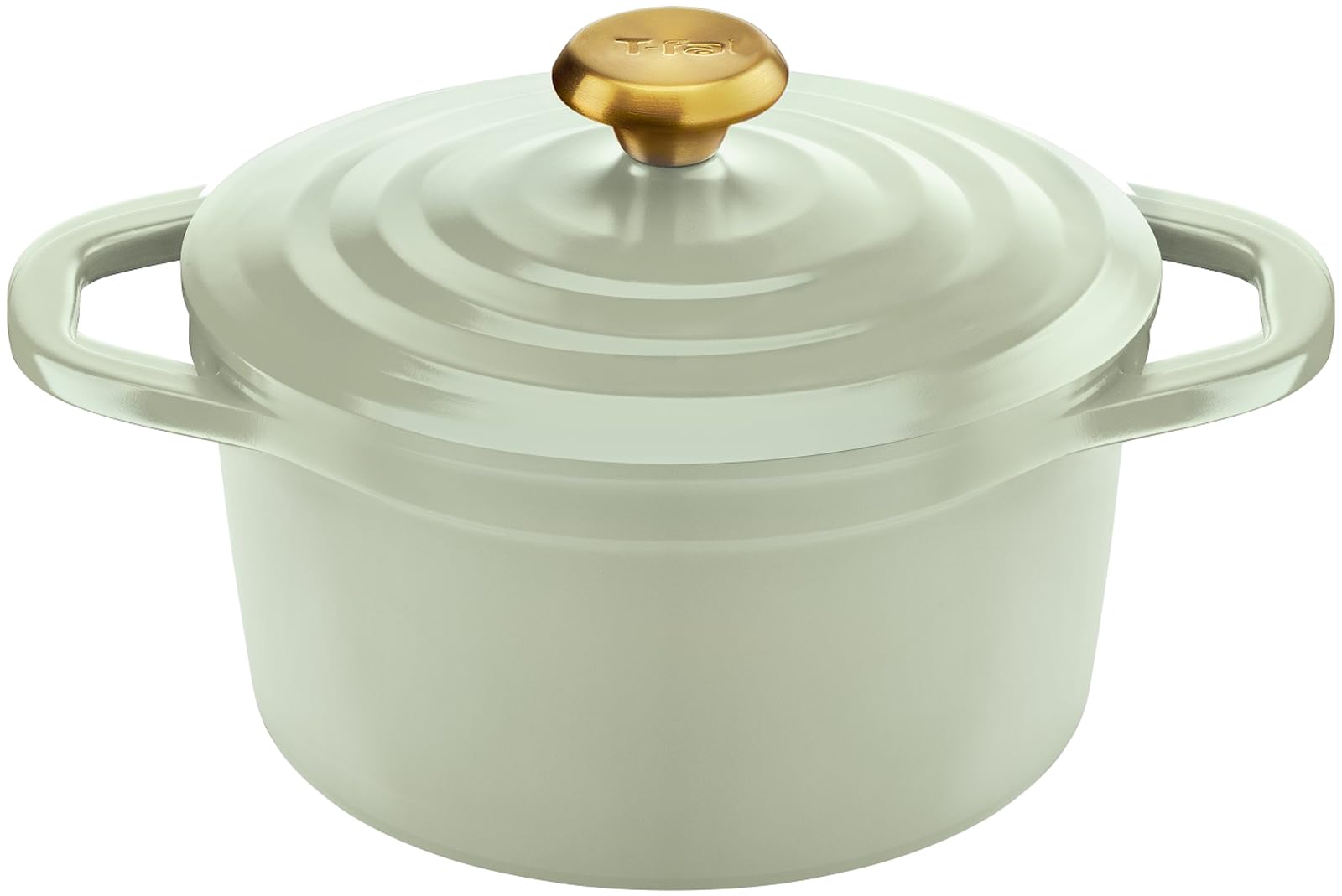 

Кастрюля-кокотка Tefal 20 см Castline Air Sage Green E26744