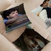 T-timothee C-chalamet Cushion Cover Pillowcase Upholstery Sofa Throw Pillow Home Decor Pillowcas