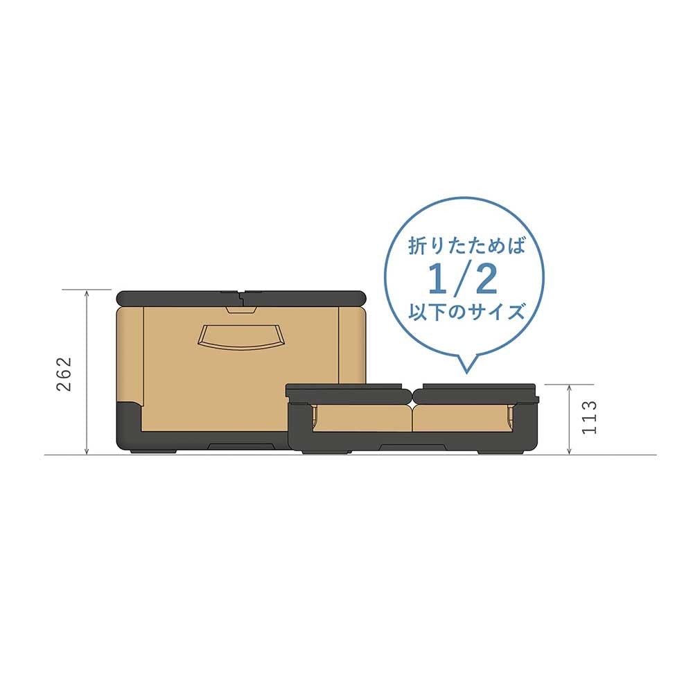 Folding Cooler Box 31L Foamed Polypropylene Brown 25900310 FLOBBLE