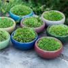 Thickened Succulent Flowerpot Breathable Plants Planter  Home Decoration