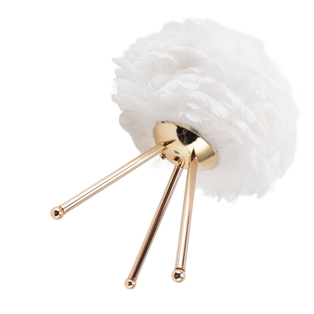 Feather Table Lamp Adjustable Color Brightness Rechargeable Touch Control Decoration Night Light