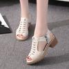 Summer New Color Women's Sandals Side Zipper Fashion Women's Sandals Women's Shoes