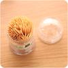 Disposable Portable Two-Headed Toothpick