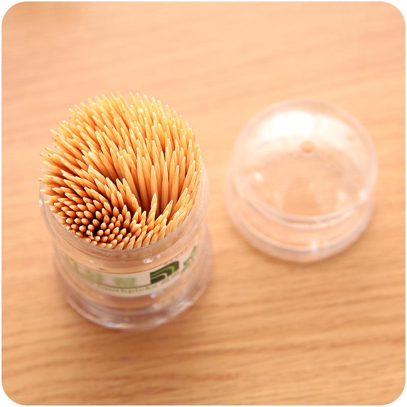 Disposable Portable Two-Headed Toothpick