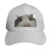 Cat looking inside box meme Baseball Cap party Hat Unique hats Sports Cap fun hats Hats Women Unisexs