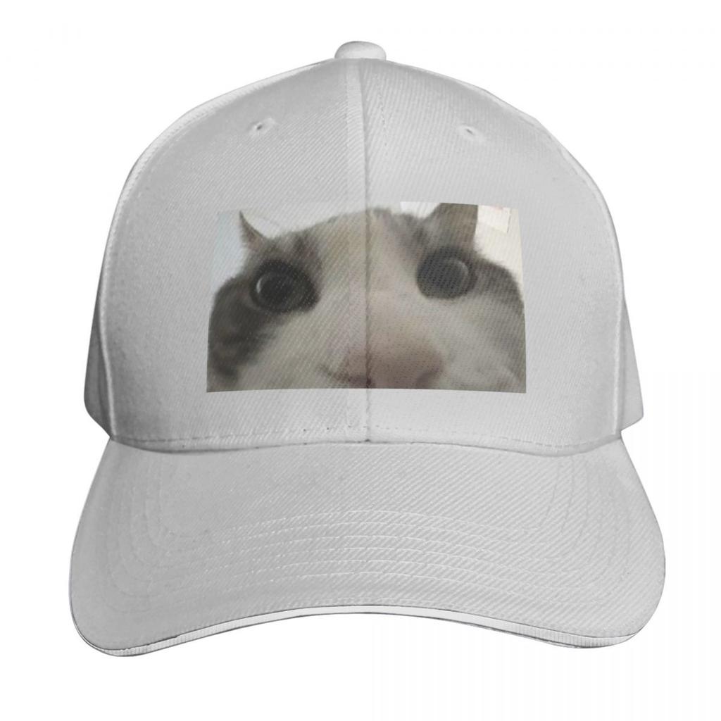 Cat looking inside box meme Baseball Cap party Hat Unique hats Sports Cap fun hats Hats Women Unisexs