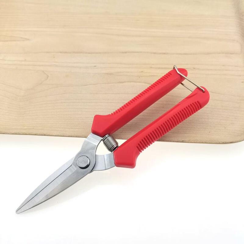 Zhi Shi Stainless Steel Fruit Picking and Pruning Shears