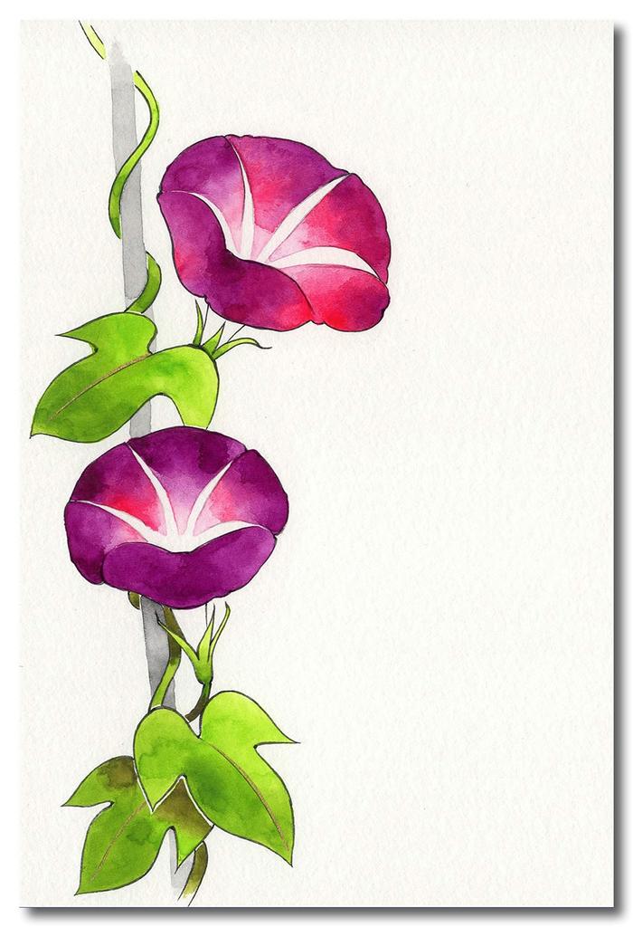 Kissho Japanese Painting Made In 24 Colors Paints, Kakugansai,