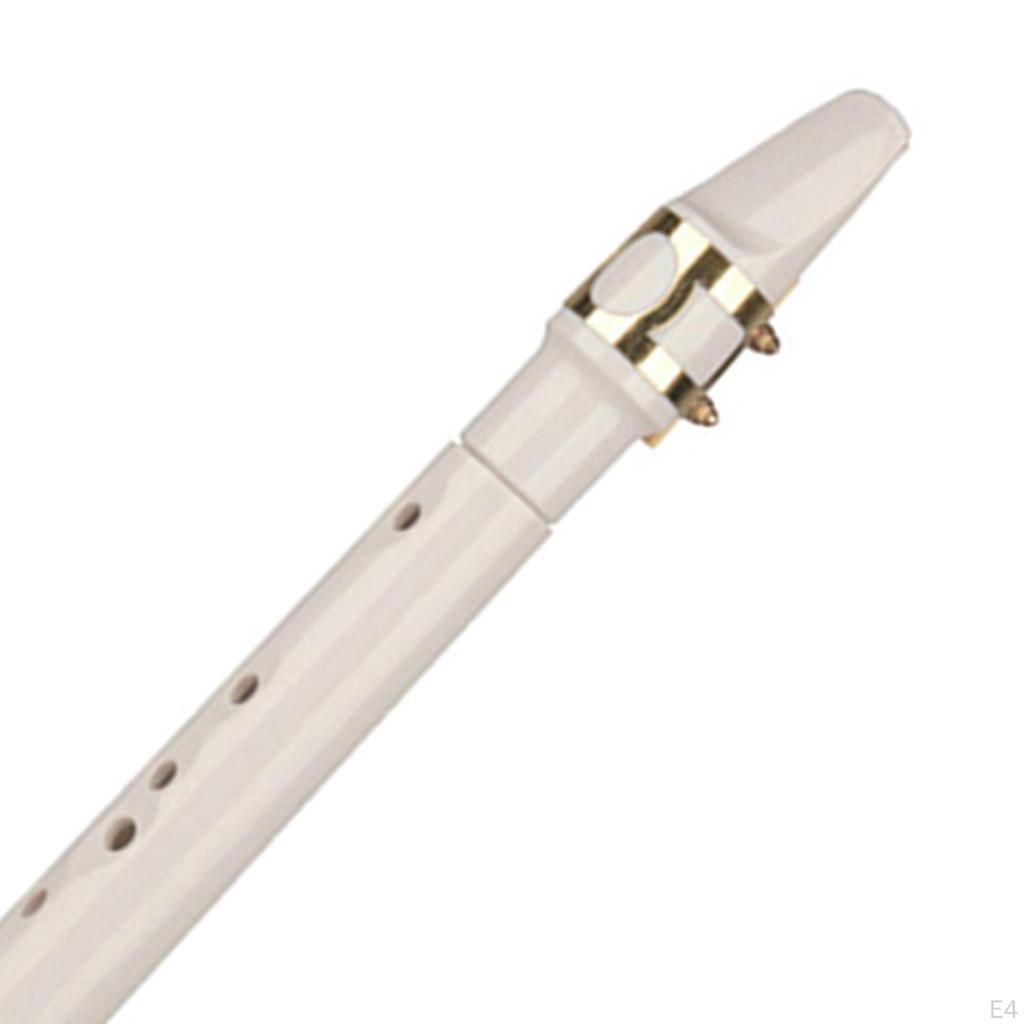 Compact Saxophone for Beginners with And Carrying Case